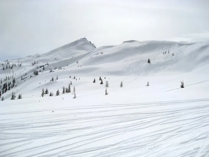 Complete Wagrain gids: alles voor je wintersportvakantie in Snow Space Salzburg